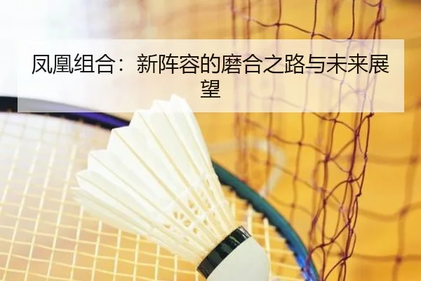 凤凰组合：新阵容的磨合之路与未来展望